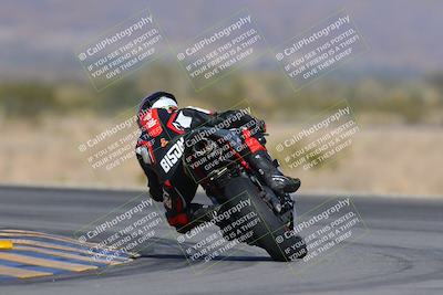 media/Dec-09-2023-SoCal Trackdays (Sat) [[76a8ac2686]]/Turn 14 Backside (1050am)/